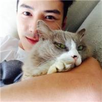 猫奴. www.qqtn.c