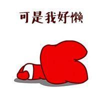 抒情：每个人都想有一场说走就走的旅行 我不后悔我做过的事我