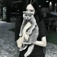 盐不及泪咸 A real fri