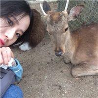 韩女头 如果你爱我多少敌人也