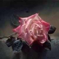Rose 曾经说的再见，一语成