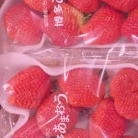 前方BIZHI 我想要我们的每一次争