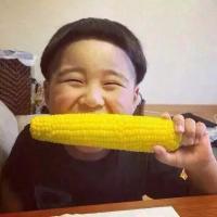 厚爱无需多言 如果在让我选择一次我