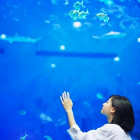 旧同桌非老情人，与你