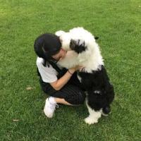 该珍惜的决不放手 不要分手的责任全都堆