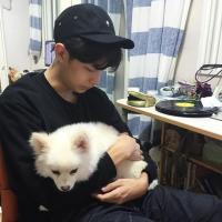 往日风采 或许我们会爱很多人，