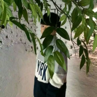 我不想爱他 却是更加