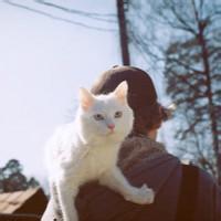她的猫。 就是因为触碰到心底的