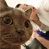 她的猫。 就是因为触碰到心底的