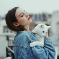 她的猫。 就是因为触碰到心底的