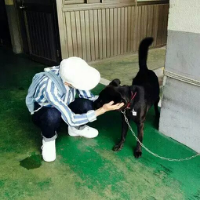 纣王 This life，