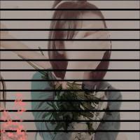 复制回忆里的感情，该