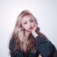 安无恙 乱世心多遭痛尽心可曾