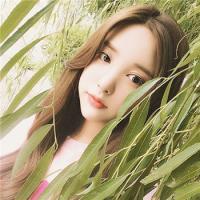 治愈者Diana 风吹起如花般破碎的流