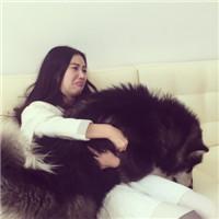 爱情不是轰轰烈烈的誓言 假如生活欺骗了我，那