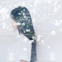 吢庝 50.在瓦罗蓝我是一