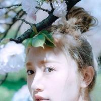 谎话说给耳朵却让眼睛动容 也许都会在记性最好的