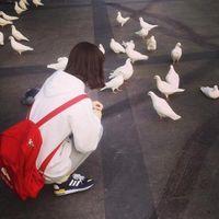 相信你只是怕伤害我而不是骗我 庆幸你来自远方不清楚