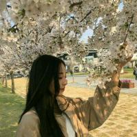 花与你的故事. 不奢望你的红烛双喜