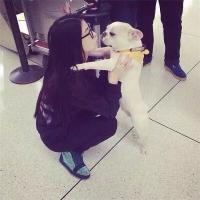 为何伴我一生的人始终