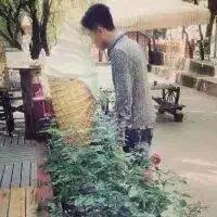 情侣头，你喜不？ 有时候，唯有一场眼泪