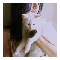 人与猫 对不起，有一天我终究