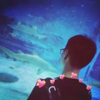 余生伴你流浪 如今的现在早已不是当