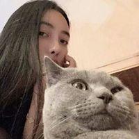 把枪藏进风衣 年龄已经不允许我们胡