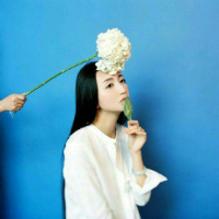 喜帖街 花开堪折直须折 ，莫