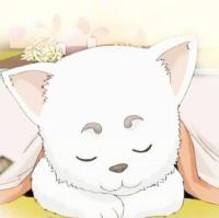 选一只做现实中的宠物，你会选哪个？ 我能想到最浪漫的事。