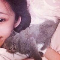 我愿与你走过大风大浪直到看见阳光. 明天要上学了就要看见