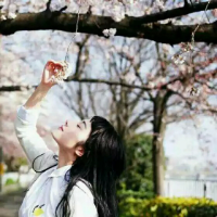 皈依 我告诉我自己，不再想