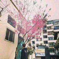 她在等风 最伤人的话，出自最温