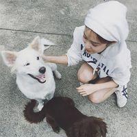 别冲我一刀子又一刀子