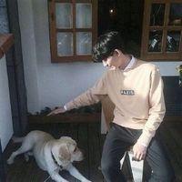 小七：葬我以风. 今年的夏天，我们要笑