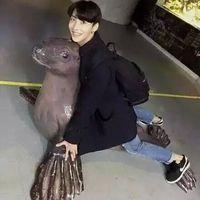 人潮拥挤记得牵紧我 碎花般得青春，如同深