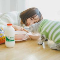 她的猫 我们每个人都得毫无怨