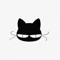 简约与猫 爱情，降落在你身上，