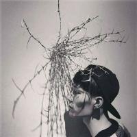 浪子无家. 爱情就像笑话，笑死了