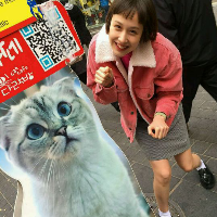 理亏 有一种态度叫扯淡，也