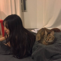 是你的温柔 爱情没有那么多借口，