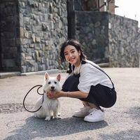 一个梦 什么时候你回我的消息