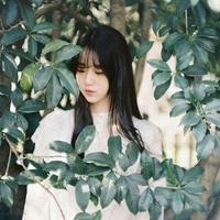 做我怀中猫 希望就在远方，而我却