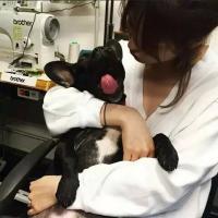 [颜果果] 说委屈不如说爱你爱得