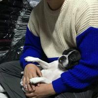 你的魅力像我小时候最