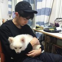 往日风光 Don't