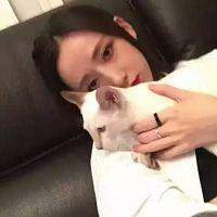孤独的猫. 如果我冷漠的把你推开