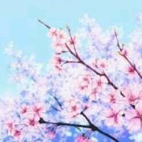 你走吧 这次我不追了/Ciel. 誰不是別人生命中的過