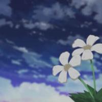 你走吧 这次我不追了/Ciel. 誰不是別人生命中的過