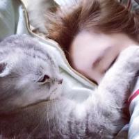 阿猫阿狗 不懂怎样伪装讨好人心